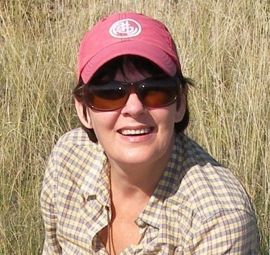 必赢3003no1线路检测中心创新论坛第一千五百四十四讲：Intra-plate oceanic island basalts:  retrospective and perspectives 