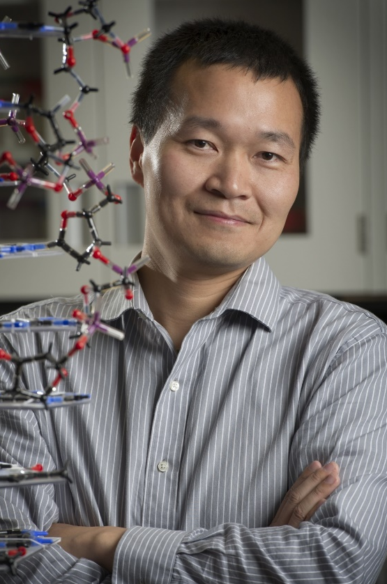 必赢3003no1线路检测中心创新论坛第一千九百七十八讲：核酸适配体筛选：从小分子到微塑料