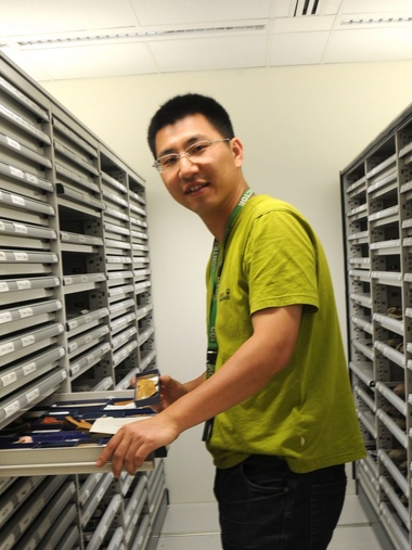 必赢3003no1线路检测中心创新论坛第一千八百零一讲：虫鸣凤舞伴花香：现代陆地生态系统的起源