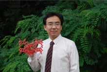 必赢3003no1线路检测中心创新论坛第一千二百七十三讲暨120周年校庆年系列活动： Unexpected slow diffusion in hierarchical porous materials with combined surface and configurational diffusion   