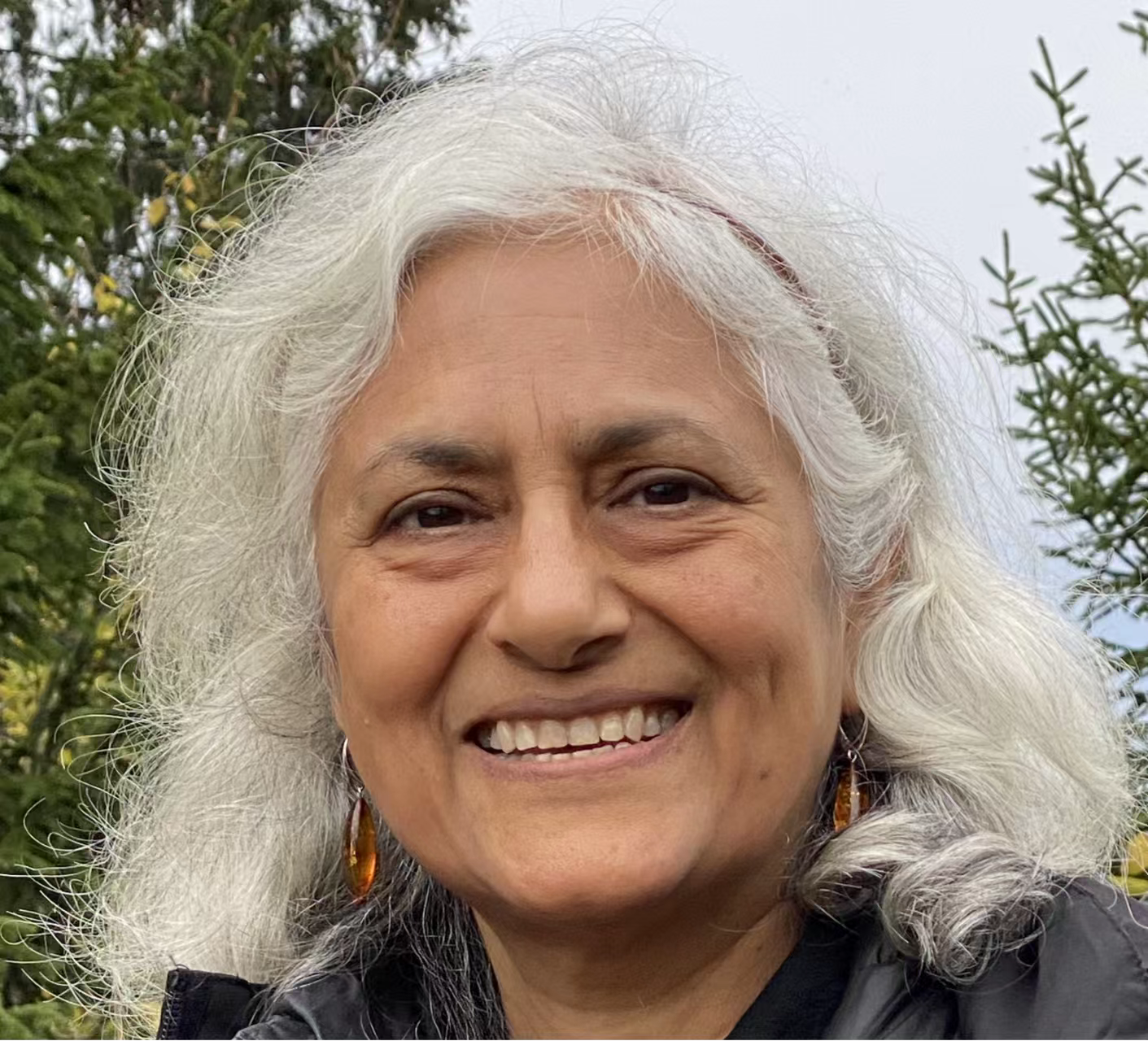 必赢3003no1线路检测中心创新论坛第一千七百三十九讲：Fractionalized excitations in Quantum Spin Liquids and their Detection